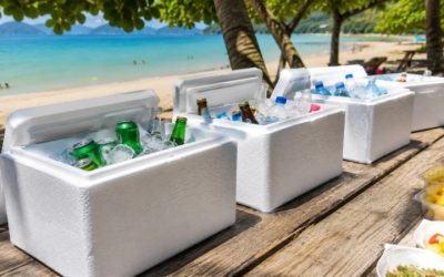 Best Wine Cooler Drink: 6 Classic Picks Tasted for 2026