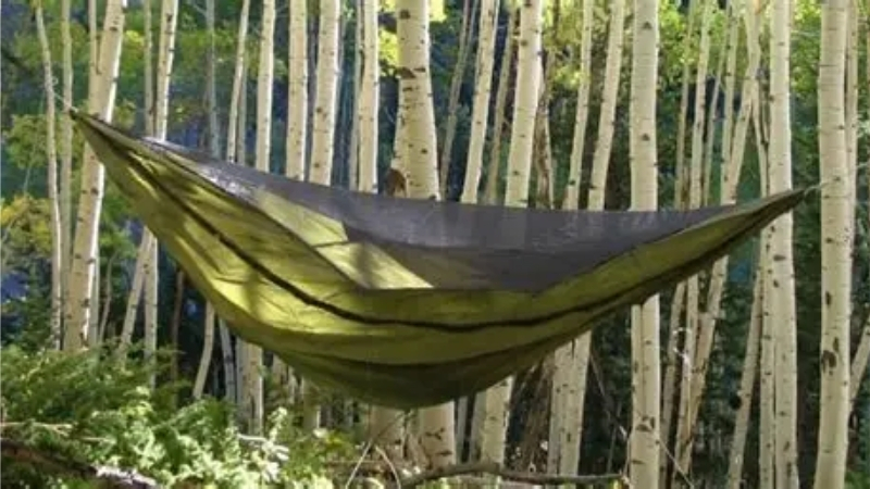 How to Choose the Right Best Backpack Hammock