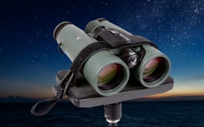 Best Binoculars for Astronomy: Stargazing Picks Compared