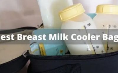 Best Breast Milk Cooler: Keep Milk Cold and Safe On the Go