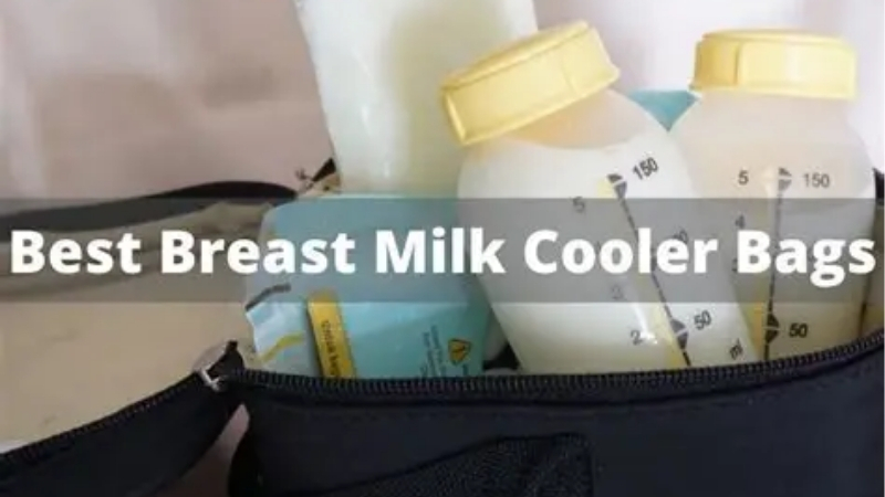 How to Choose the Right Best Breast Milk Cooler