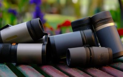 Best compact binoculars for birding Buying Guide Outdoor