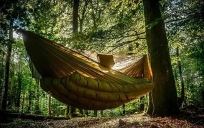 Best Hammock for Backpacking: Ultralight Trail-Ready Picks