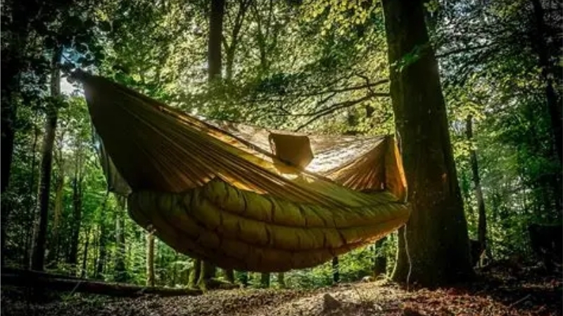 How to Choose the Right Best Hammock for Backpacking