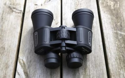 Best Low Price Binoculars: Value Picks Ranked and Compared