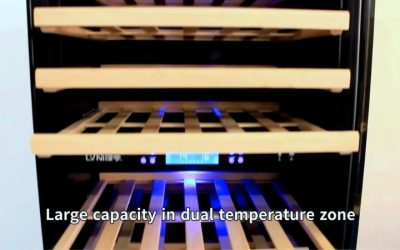 Best Temp for Wine Cooler: Serving Settings by Wine Type