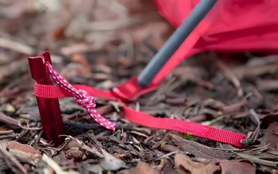 Best Tent Peg: Top Picks by Tent Type and Wind Exposure