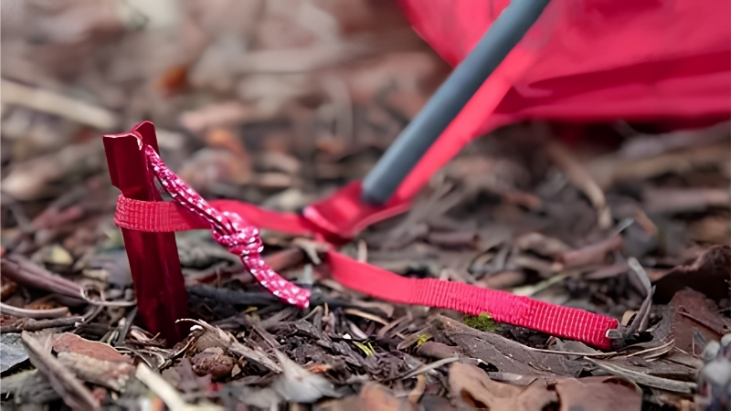 How to Choose the Right Best Tent Peg