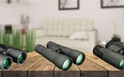 Best Vortex Binoculars: HD Optics for Every Budget Ranked