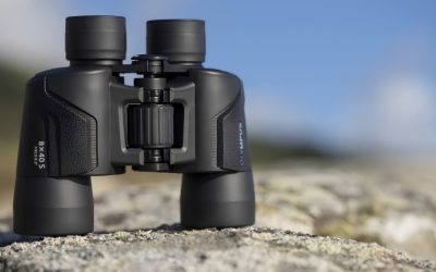 Binoculars Stabilized Best: Our Top 6 Models Ranked 2026