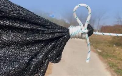 Best Knots for a Hammock: 6 Essential Hitches for Hangers