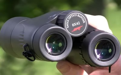 Best Magnification for Binoculars: 8x, 10x, 12x Explained