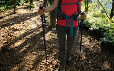 Best Ultralight Trekking Poles: 6 Featherlight Top Picks
