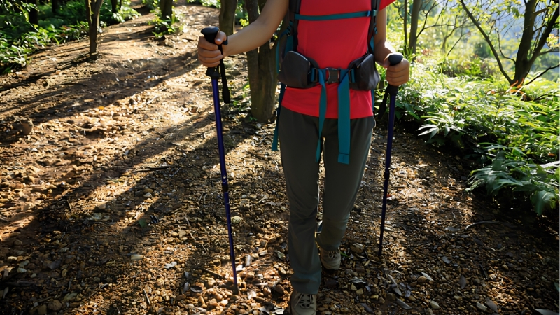 How to Choose Ultralight Trekking Poles