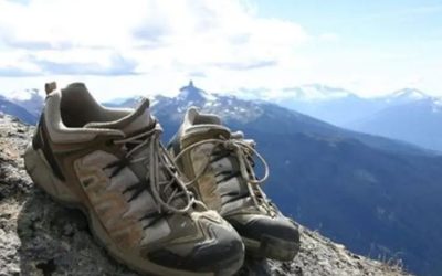 Hiking Shoe Comparison Chart: 6 Top Models Compared 2026