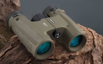 Best Hunting Binoculars for the Money: 6 Value Top Picks