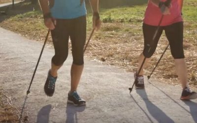 Trekking Pole Sizing: How to Find Your Ideal Pole Length