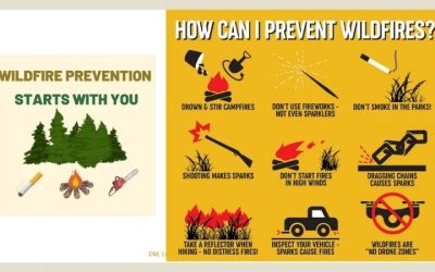 Wildfire Safety Guide: Essential Gear for Smoke and Fire