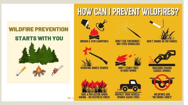 How to Prepare with a Wildfire Safety Guide