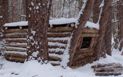 Winter Shelter Guide: 6 Cold-Weather Shelters for 2026 Trips