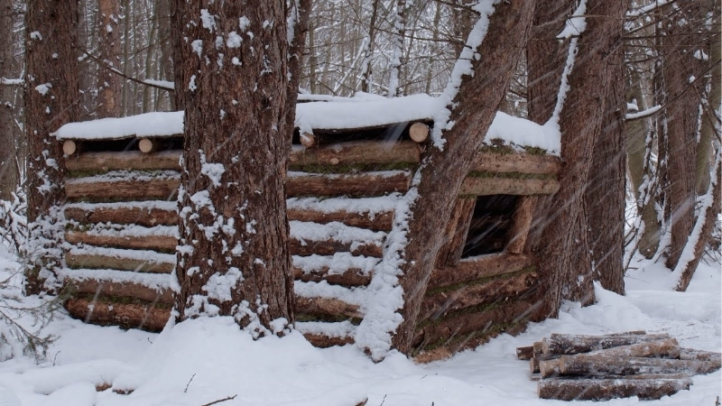 How to Use This Winter Shelter Guide