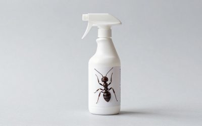 Best Ant Killer for Outdoor Use: Baits, Granules, and Sprays Compared
