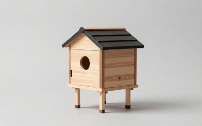 Best Chicken Coops for Backyards: Space, Security, and Setup Compared