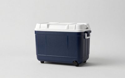 Best Cooler with Wheels