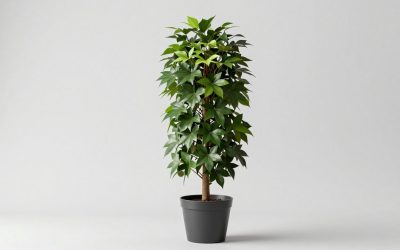Best Garden Tower Planters for Compact, Vertical Growing