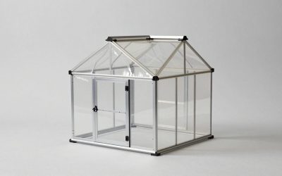 Best Mini Greenhouses for Small Spaces
