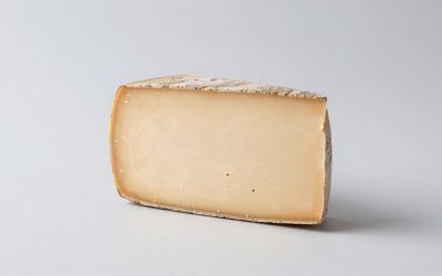 Best Professional Cheese Making Kits With Aging Fridge