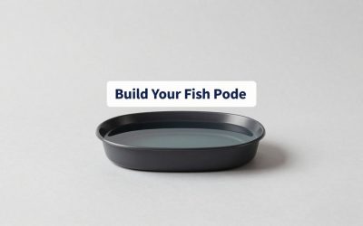 Build Your Fish Pond Codes: Active Rewards