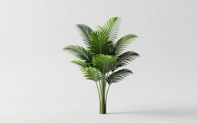 Plants vs Brainrots Discord vs Trello Links